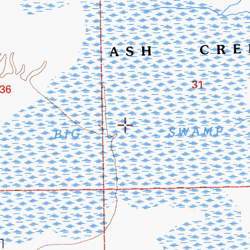 Topographic Map of Big Swamp, CA