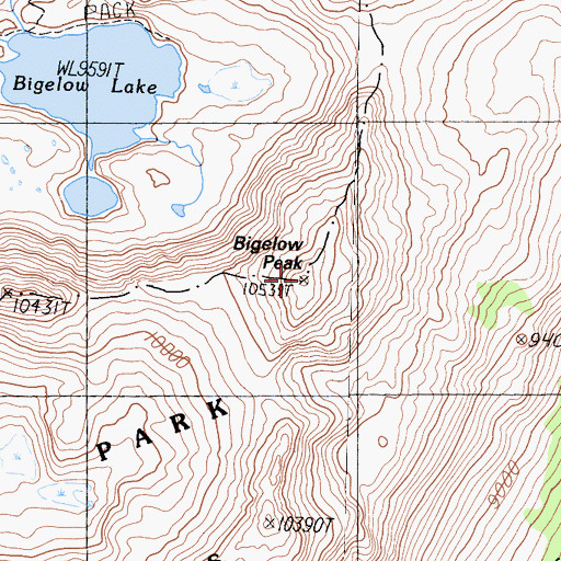 Topographic Map of Bigelow Peak, CA