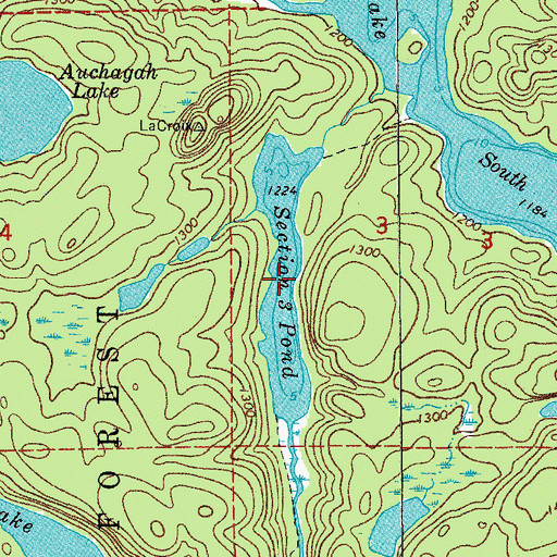 Topographic Map of Section Three Pond, MN
