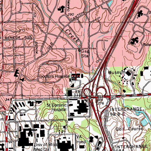 Topographic Map of Saint Dominic's Behavioral Health Center, MS