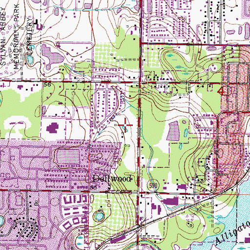 Topographic Map of Countryside Christian Center, FL
