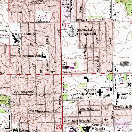 Topographic Map of Leonard Fuller Plaza, MI