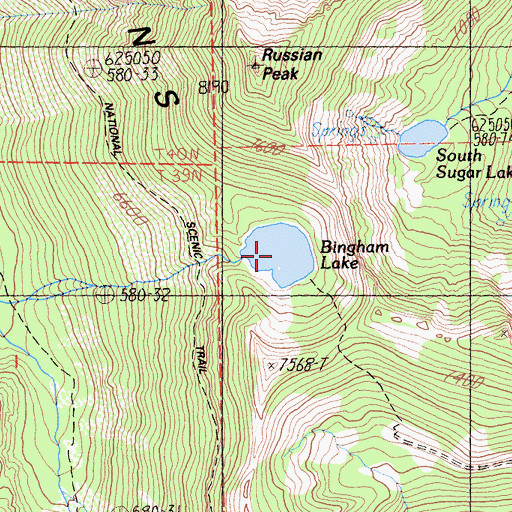 Topographic Map of Bingham Lake, CA