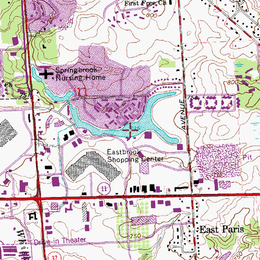 Topographic Map of Lake Eastbrook, MI