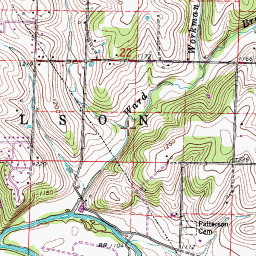 Topographic Map of Needmore Branch, MO