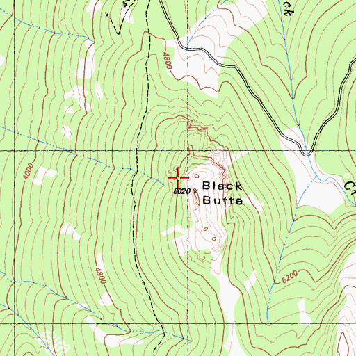 Topographic Map of Black Butte, CA