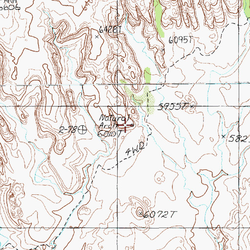 Topographic Map of Ruin Arch, AZ