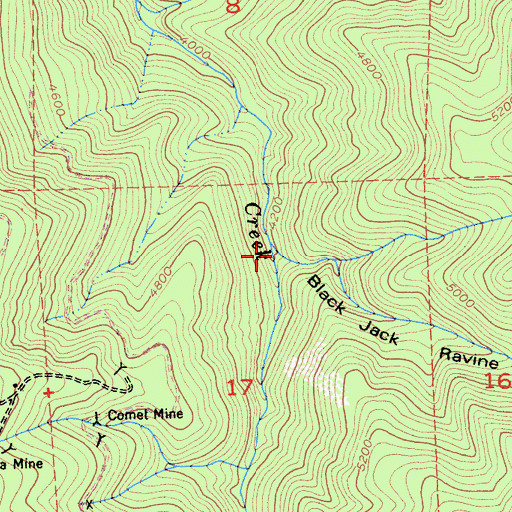 Topographic Map of Black Jack Ravine, CA