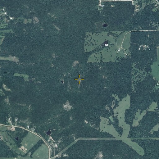 Aerial/Satellite Image of Ames Cemetery, MO