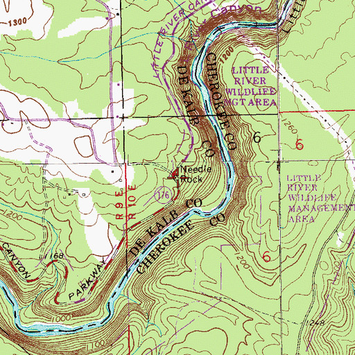 Topographic Map of Needle Rock, AL