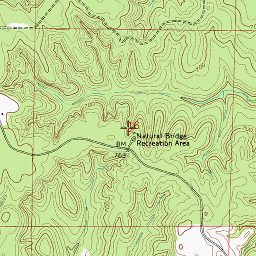 Topographic Map of Natural Bridge, AL