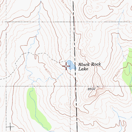 Topographic Map of Black Rock Lake, CA