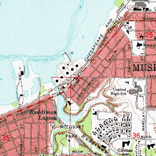 Topographic Map of Pinchtown Historical Marker, MI