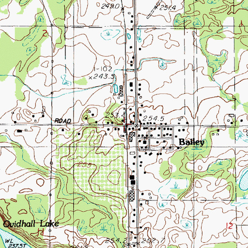 Topographic Map of Bailey Station, MI