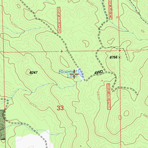 Topographic Map of Bloomer Lake, CA