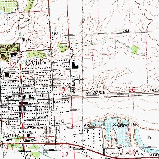 Topographic Map of Holy Family Catholic Church, MI
