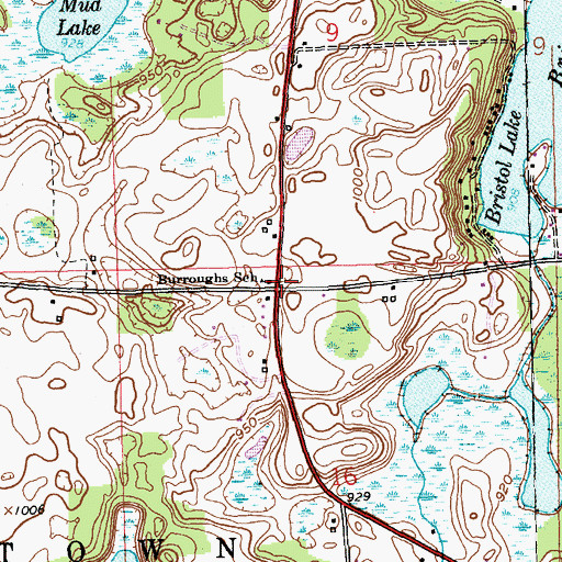 Topographic Map of Johnstown Post Office (historical), MI