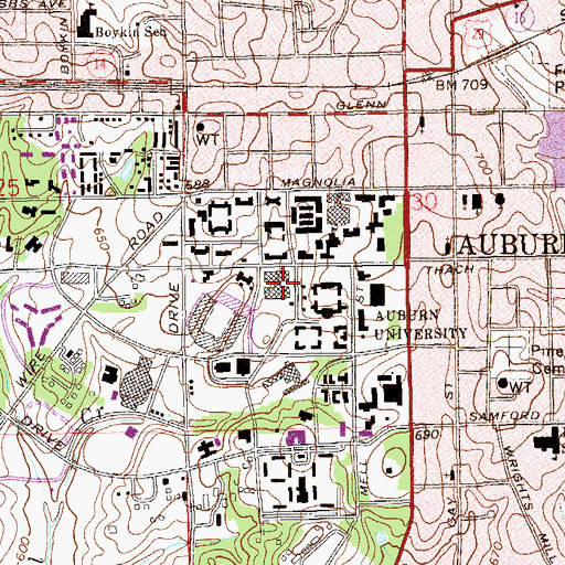 Topographic Map of Haley Center, AL