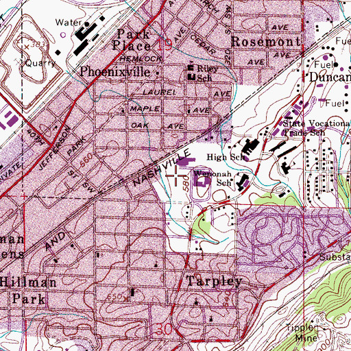 Topographic Map of Roy W Johnson Junior Baseball Field, AL