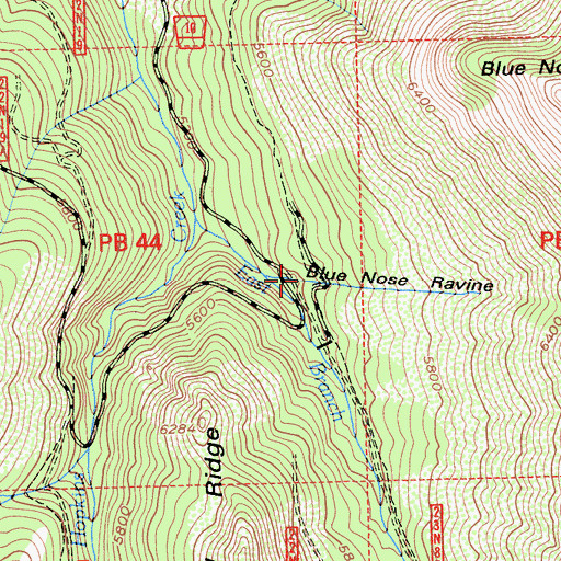Topographic Map of Blue Nose Ravine, CA