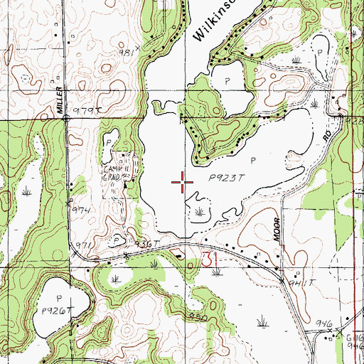 Topographic Map of Jones Lake, MI
