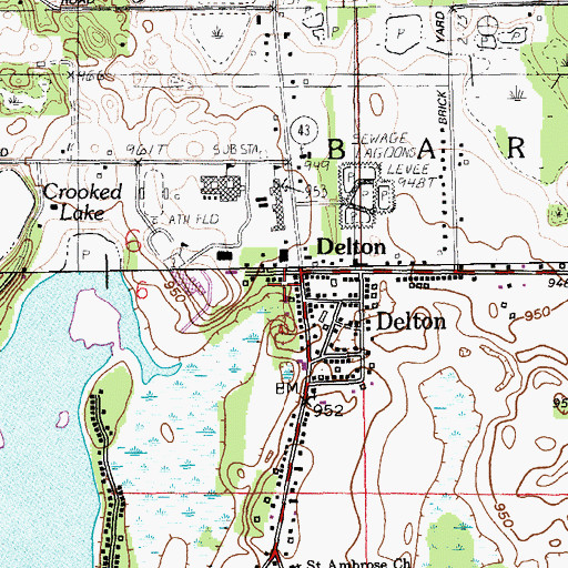 Topographic Map of Delton Station (historical), MI