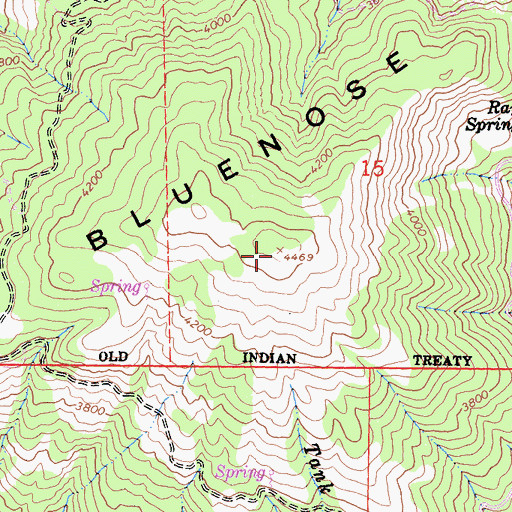 Topographic Map of Bluenose Ridge, CA