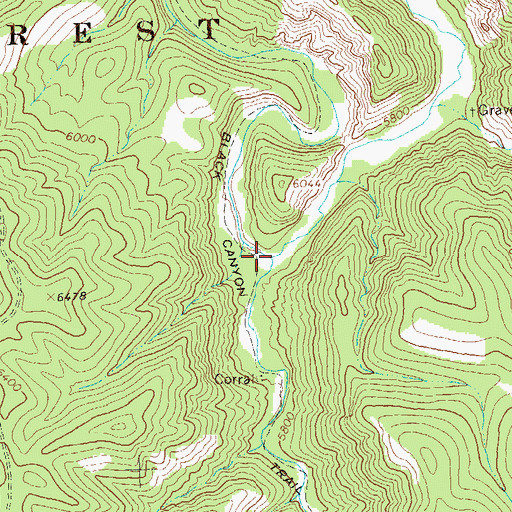 Topographic Map of Black Canyon Creek, NM