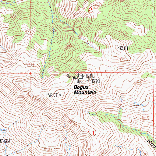 Topographic Map of Bogus Mountain, CA