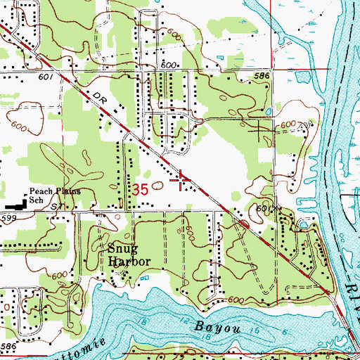 Topographic Map of Resurrection Life Church, MI