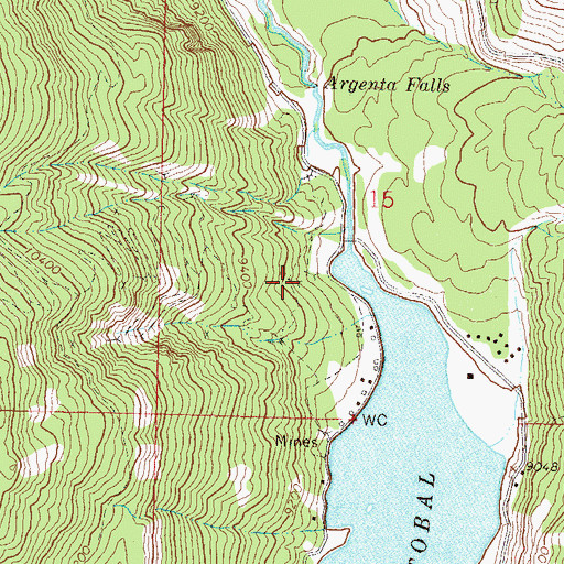 Topographic Map of Black Crook Mine, CO