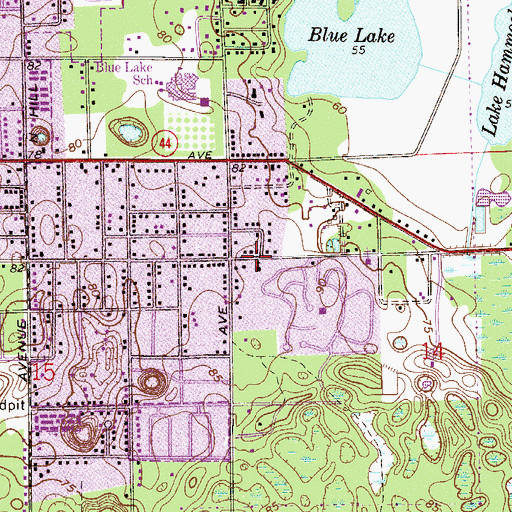 Topographic Map of Life Gate Church, FL
