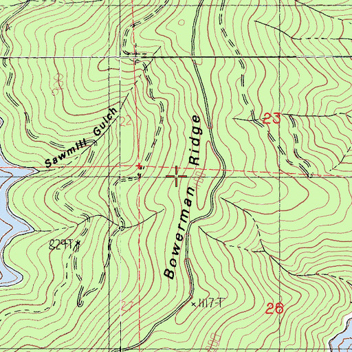 Topographic Map of Bowerman Ridge, CA