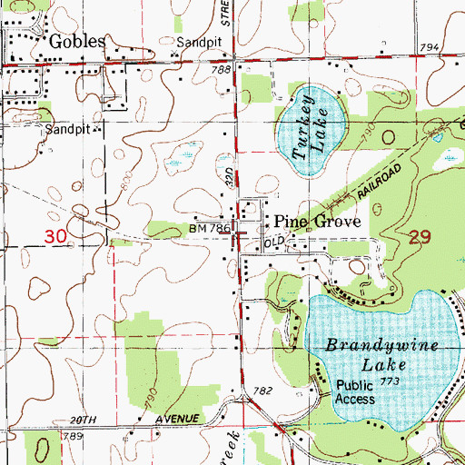 Topographic Map of Pine Grove Mills Station (historical), MI