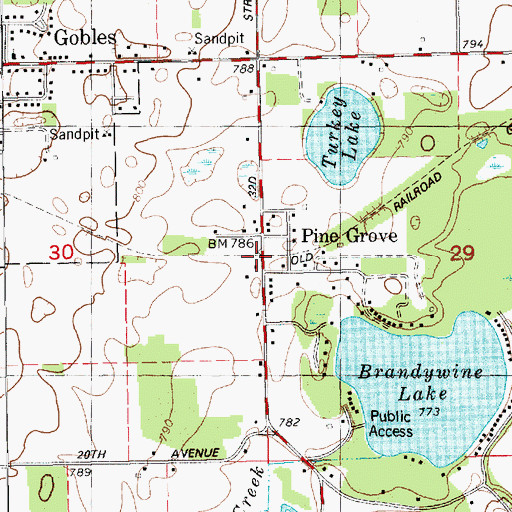 Topographic Map of Pine Grove Mills Post Office (historical), MI