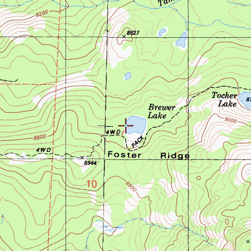 Topographic Map of Brewer Lake, CA