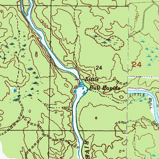 Topographic Map of Lower Paint Dam, MI