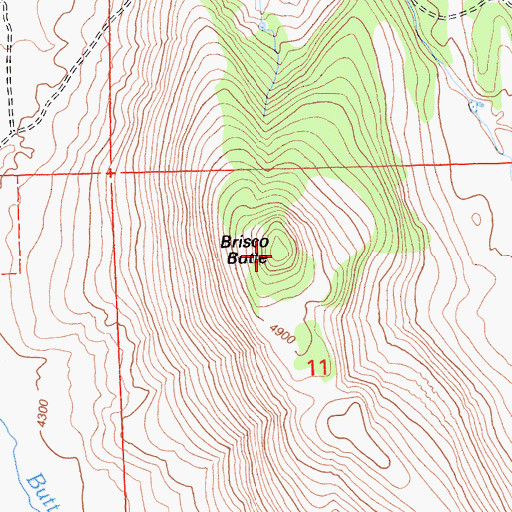 Topographic Map of Brisco Butte, CA