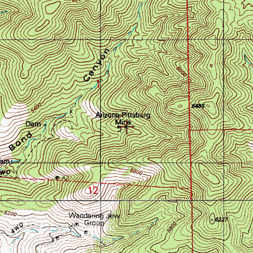 Topographic Map of Arizona Pittsburg Mine, AZ