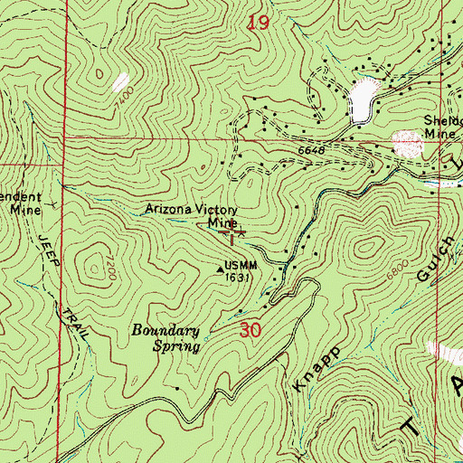 Topographic Map of Arizona Victory Mine, AZ