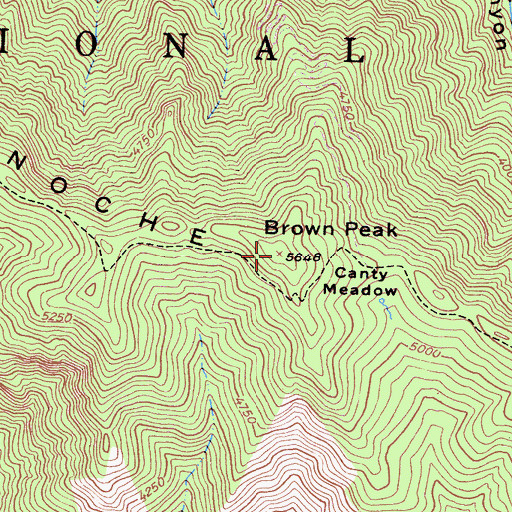 Topographic Map of Brown Peak, CA