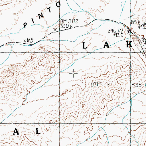 Topographic Map of Pinto Valley Wilderness, NV