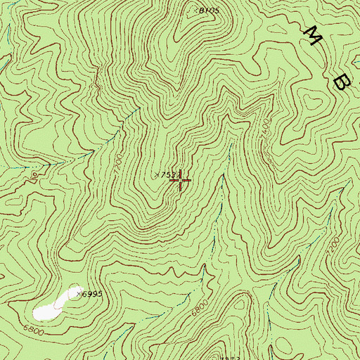 Topographic Map of Weepah Spring Wilderness, NV