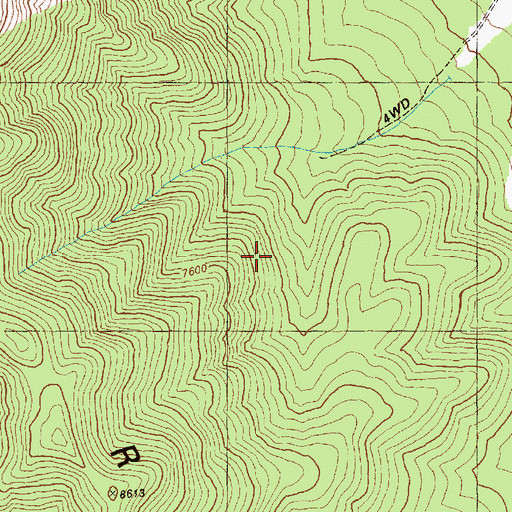 Topographic Map of Bristlecone Wilderness, NV