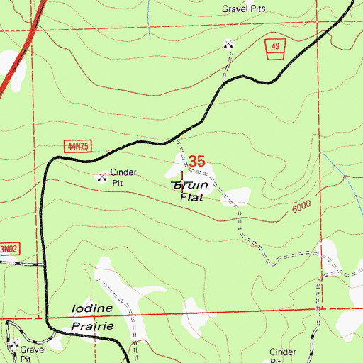 Topographic Map of Bruin Flat, CA