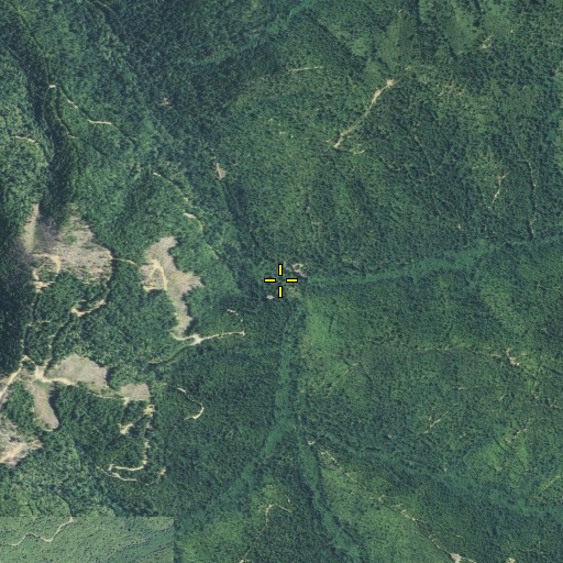 Aerial/Satellite Image of Brushy Creek, CA