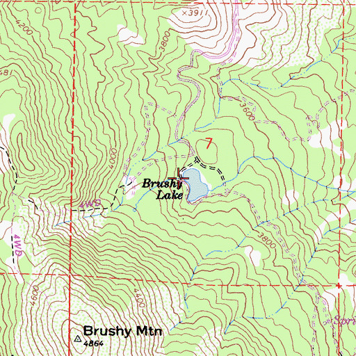 Topographic Map of Brushy Lake, CA