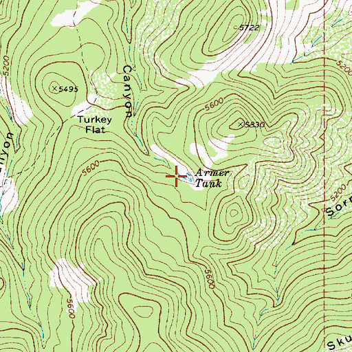 Topographic Map of Armer Tank, AZ