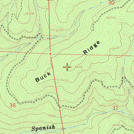 Topographic Map of Buck Ridge, CA