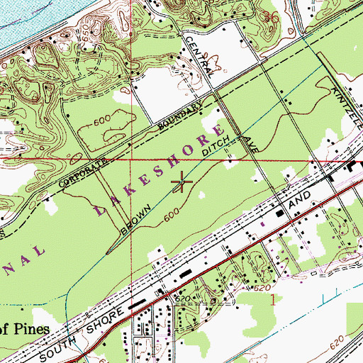 Topographic Map of Brown Ditch, IN